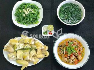 MENU 8 - GÀ LUỘC, THỊT VIÊN SỐT CÀ CHUA